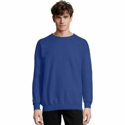 Men's Hanes Ultimate® Cotton Sweatshirt Ash -Hanes Shop unnamed file 518